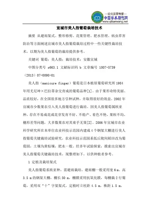 宣城市美人指葡萄栽培技术