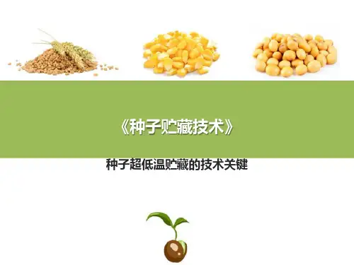 种子生物学和生理生化基础—种子超低温贮藏的原理和技术