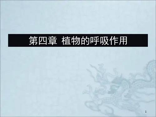 植物生理学呼吸作用 PPT课件