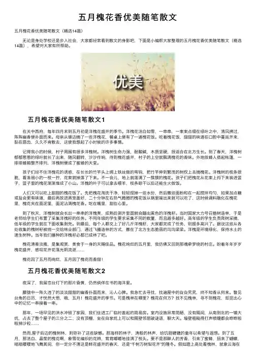 五月槐花香优美随笔散文