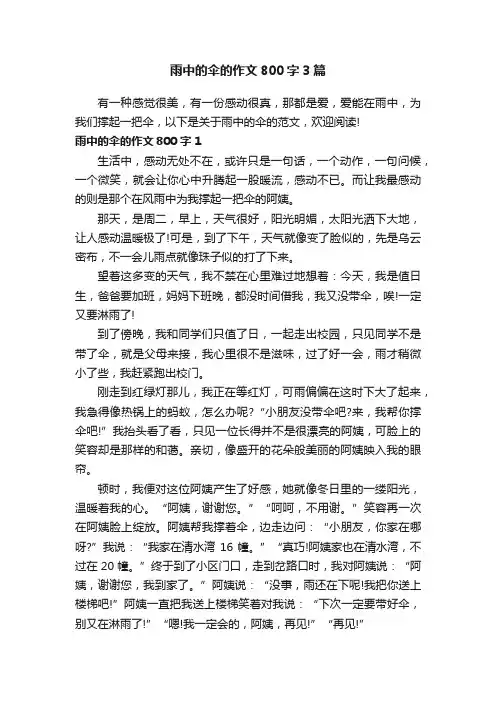 雨中的伞的作文800字3篇