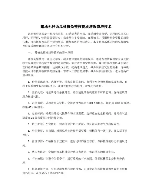 露地无籽西瓜稀植免整枝提质增效栽培技术