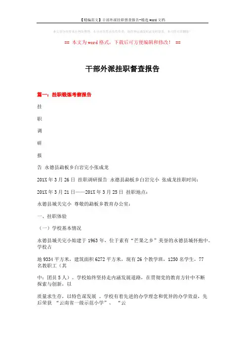 【精编范文】干部外派挂职督查报告-精选word文档 (16页)