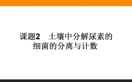 2.2 土壤中分解尿素的细菌的分离与计数(共63张PPT)
