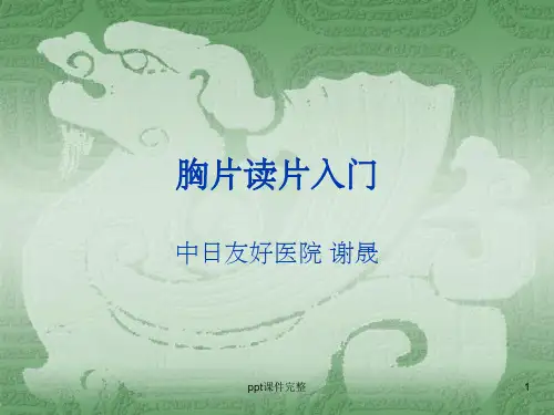 胸片读片入门ppt课件