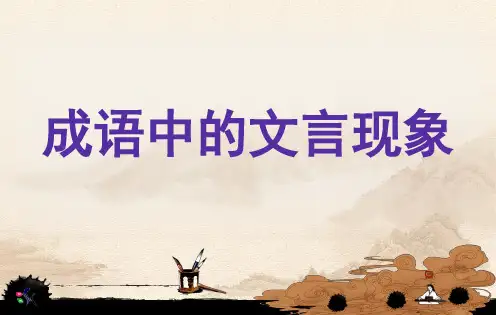 成语中的文言现象(课堂PPT)
