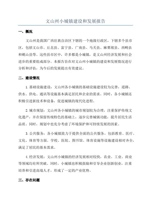 文山州小城镇建设和发展报告