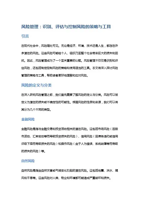 风险管理：识别、评估与控制风险的策略与工具
