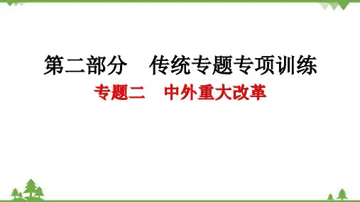 中考历史第二部分 专题二 中外重大改革课件(33ppt)