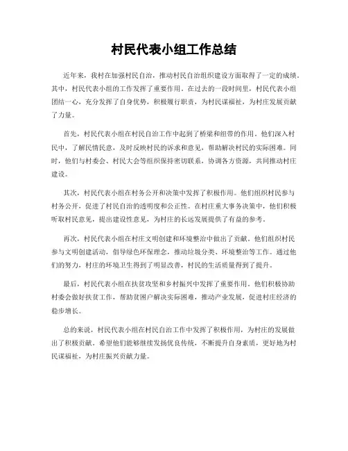 村民代表小组工作总结
