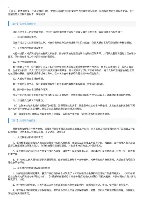 反洗钱自查报告
