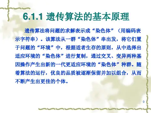 遗传算法及应用
