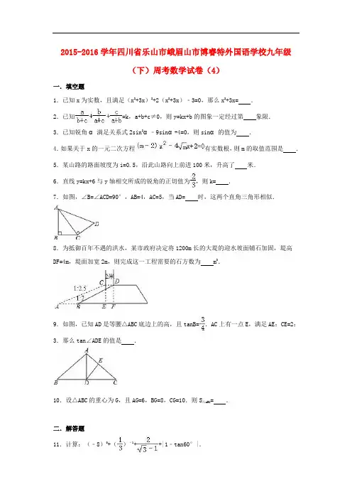 四川省乐山市峨眉山市博睿特外国语学校九年级数学下学