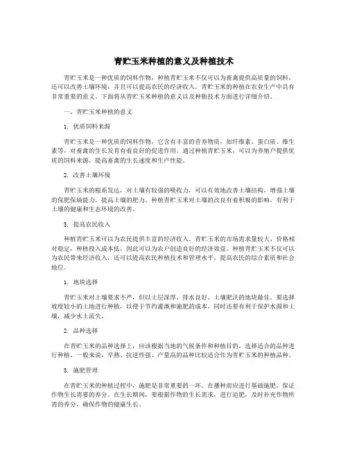 青贮玉米种植的意义及种植技术