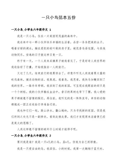 一只小鸟范本五份
