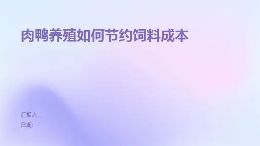 肉鸭养殖如何节约饲料成本