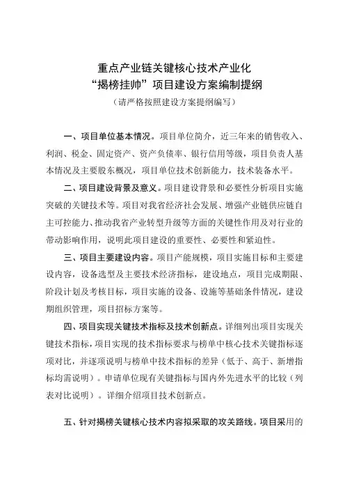 重点产业链关键核心技术产业化“揭榜挂帅”项目建设方案编制提纲