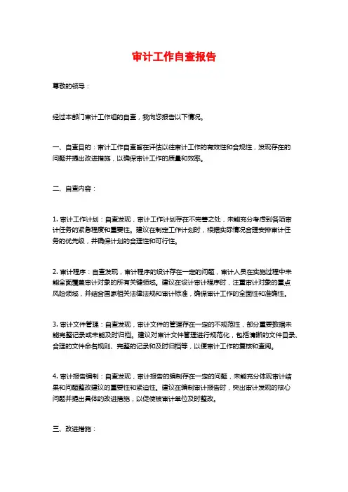 审计工作自查报告