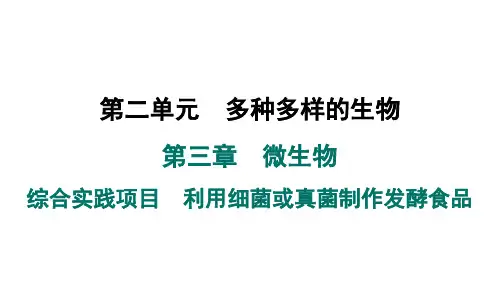 2024年人教版七年级生物上册 第三章 微生物 综合实践项目 利用细菌或真菌制作发酵食品(习题课件)