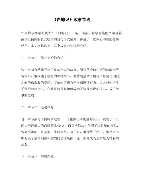 《白鲸记》故事节选