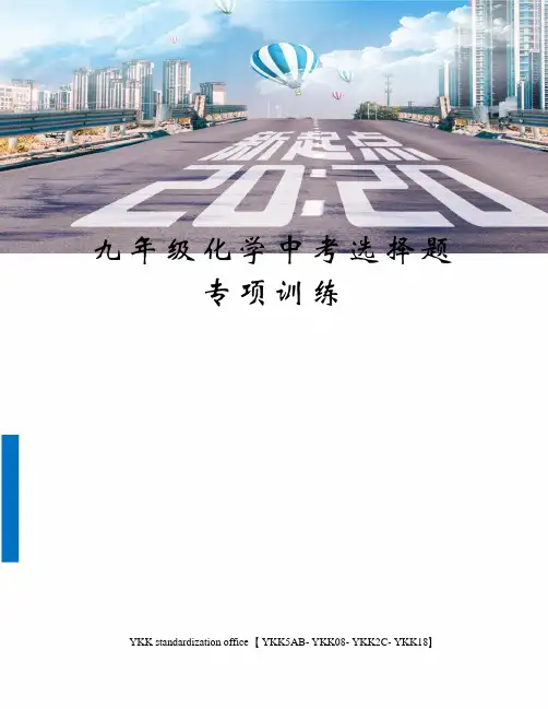 九年级化学中考选择题专项训练审批稿