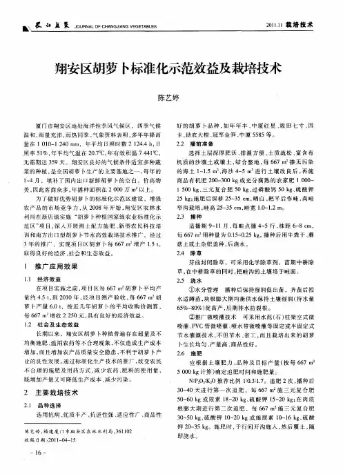 翔安区胡萝卜标准化示范效益及栽培技术
