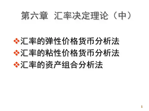 第六章汇率决定理论中cvjp
