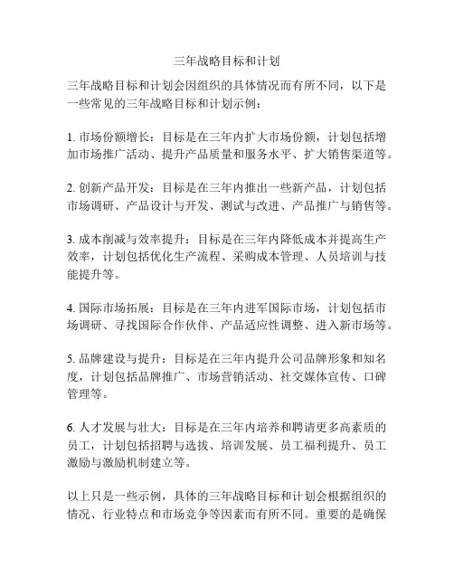 三年战略目标和计划