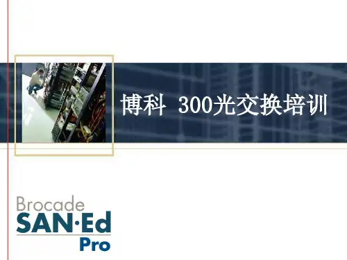 Brocade_300光纤交换机配置