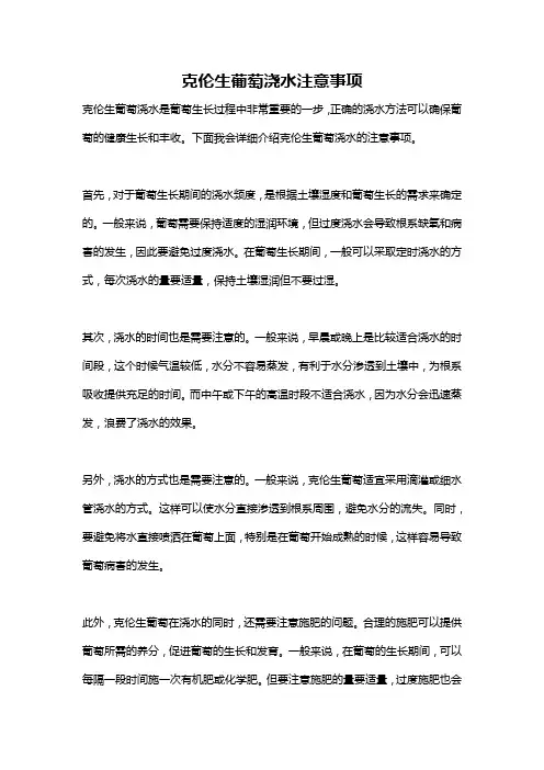克伦生葡萄浇水注意事项