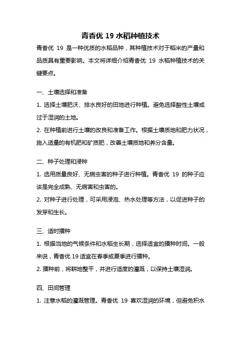 青香优19水稻种植技术