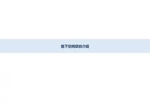 城市更新及地下空间开发设计案例总结PPT课件