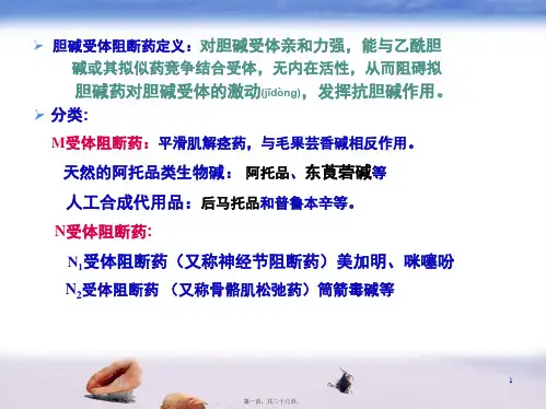 2022年医学专题—胆碱受体阻断药-(8)