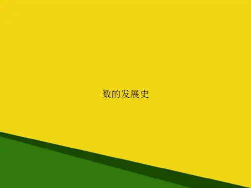 数的发展史-推荐优秀PPT