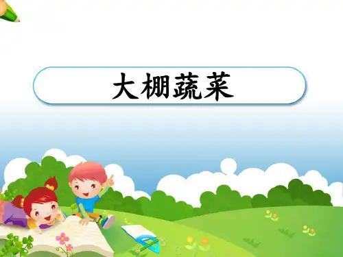 《大棚蔬菜》农田PPT课件3