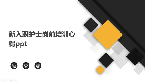 新入职护士岗前培训心得ppt