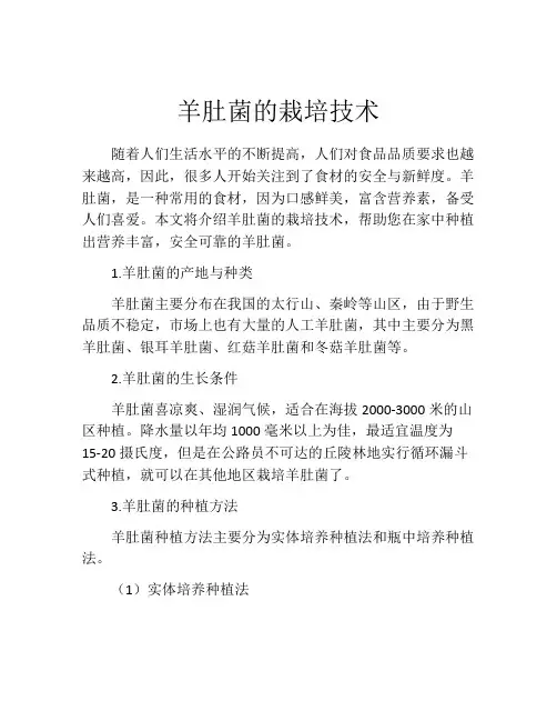 羊肚菌的栽培技术