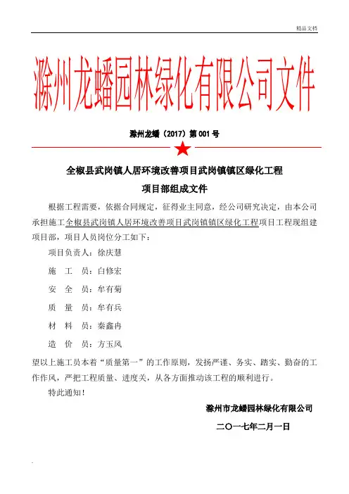 项目部组成红头文件