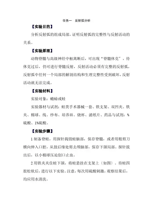 医学影像技术《实验六  反射弧分析》