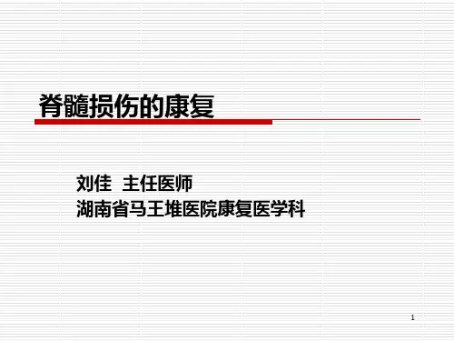 脊髓损伤的康复73981PPT课件