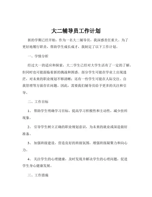 大二辅导员工作计划