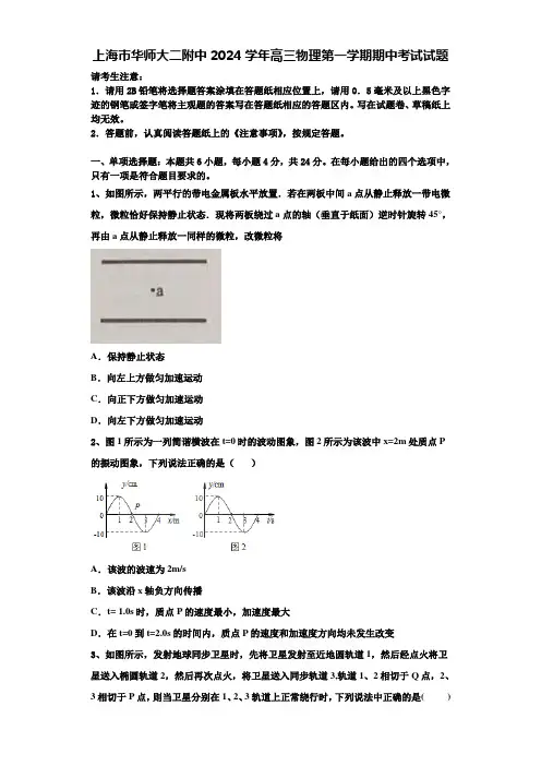 上海市华师大二附中2024学年高三物理第一学期期中考试试题含解析