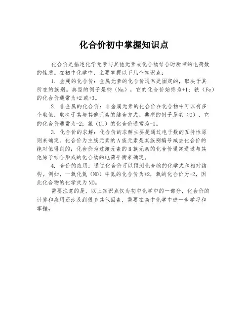 化合价初中掌握知识点