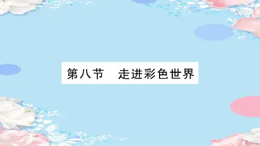 第4章  第8节 走进彩色世界—2020年秋教科版物理八年级上册课时作业课件