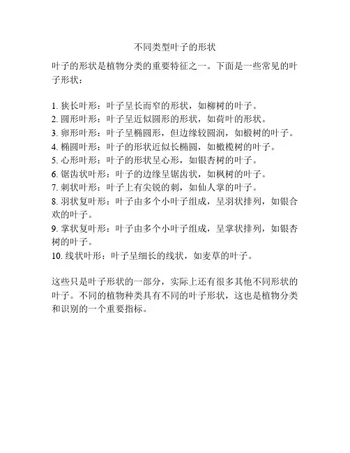 不同类型叶子的形状