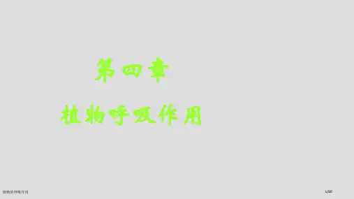 植物的呼吸作用