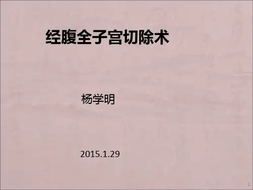 经腹全子宫切除术ppt课件