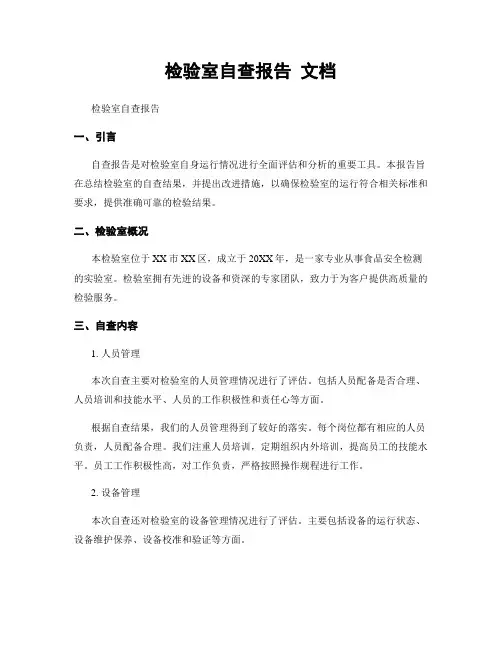 检验室自查报告 文档