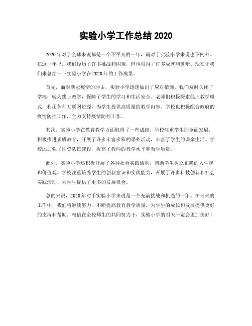 实验小学工作总结2020