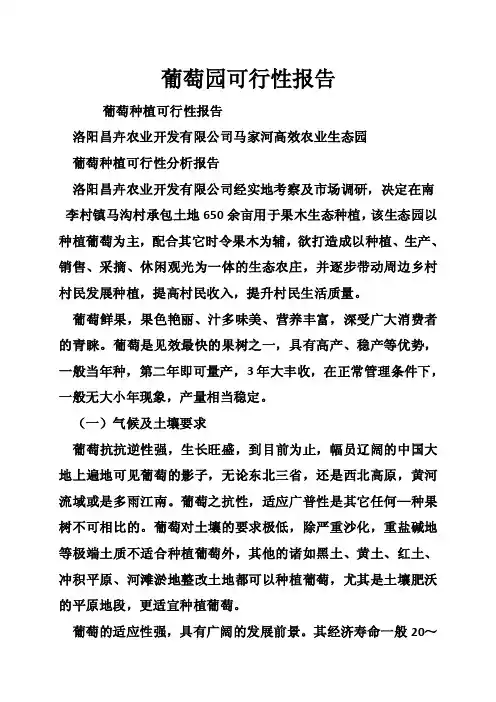 葡萄园可行性报告